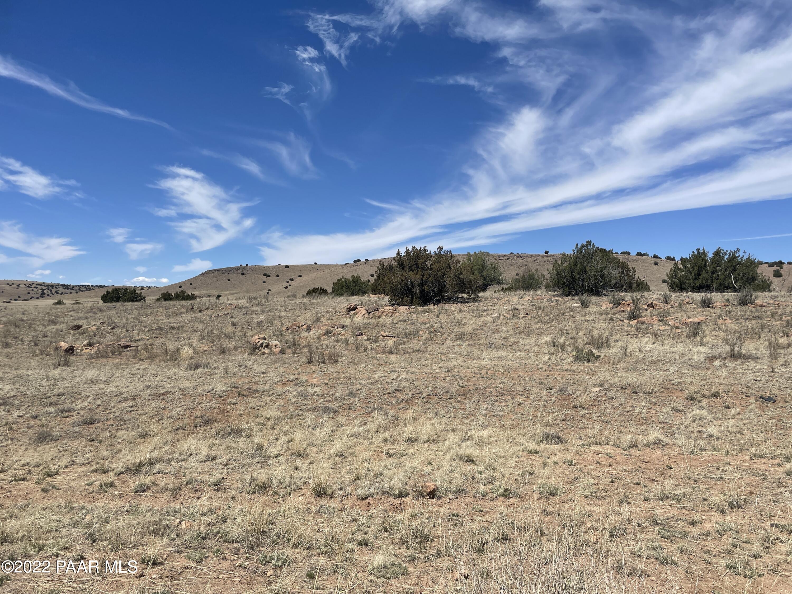 Lot 446 Williamson Valley Road Seligman, AZ 86337 - Photo 8 of 23 Lot 446 Williamson Valley Rd (5)