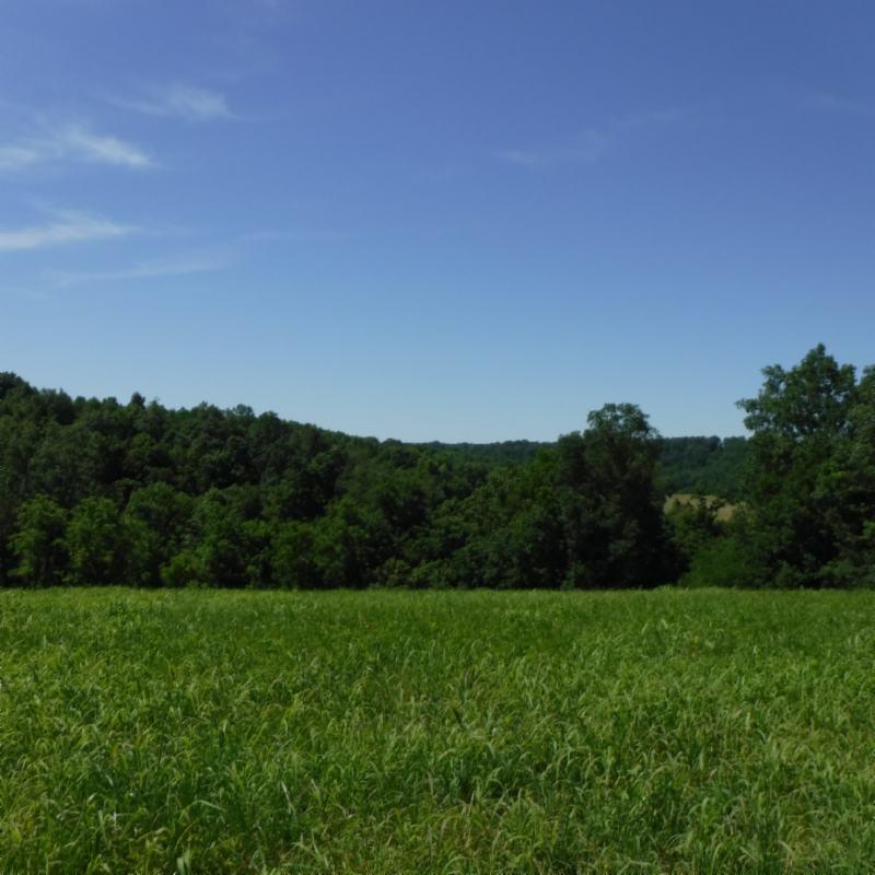 Galen Road Lafayette, TN 37083 - Photo 1 of 36 06282017 041