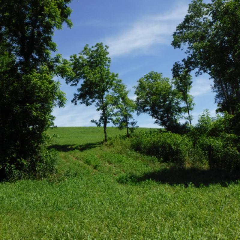 Galen Road Lafayette, TN 37083 - Photo 2 of 36 06282017 048