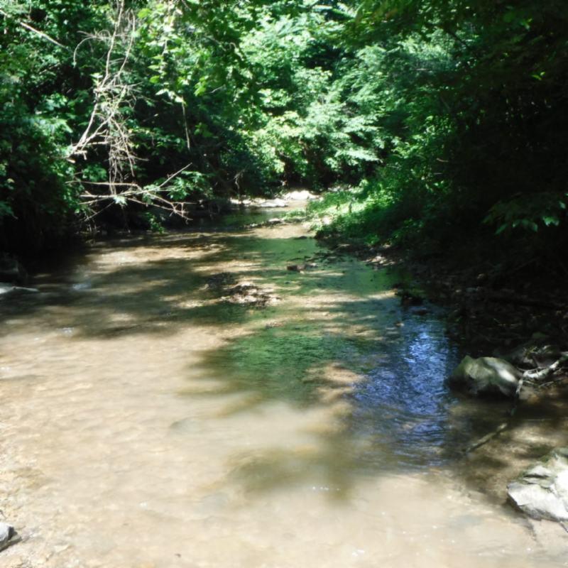 Galen Road Lafayette, TN 37083 - Photo 14 of 36 06282017 020