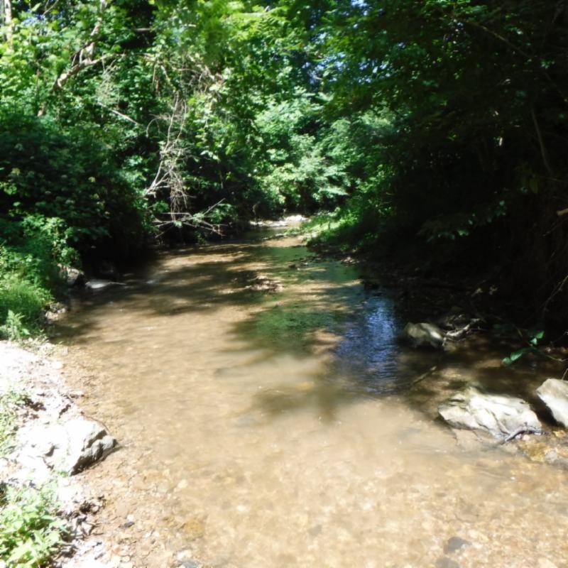 Galen Road Lafayette, TN 37083 - Photo 15 of 36 06282017 021