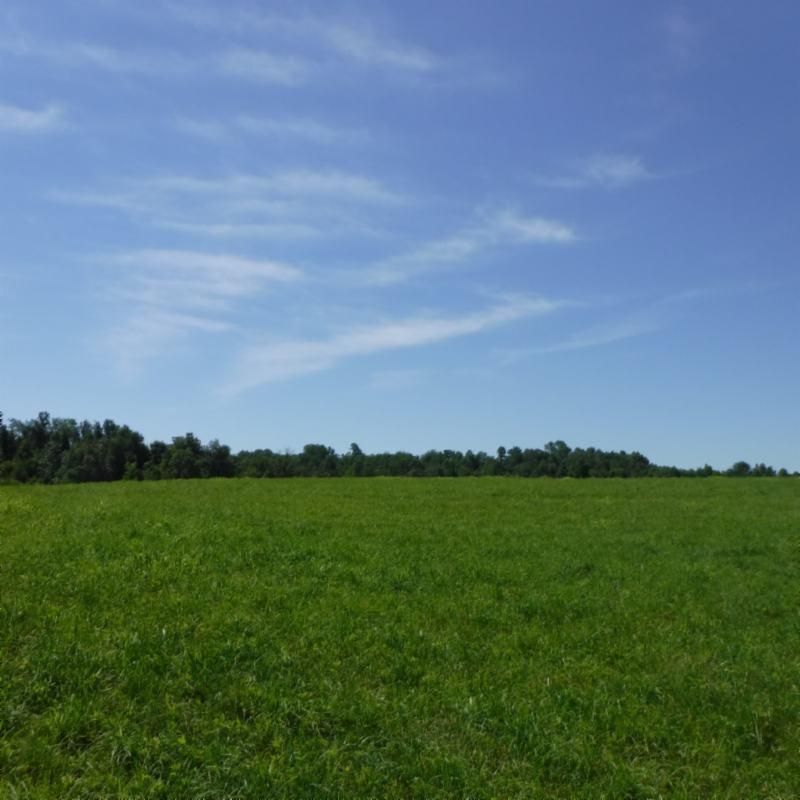 Galen Road Lafayette, TN 37083 - Photo 3 of 36 06282017 033