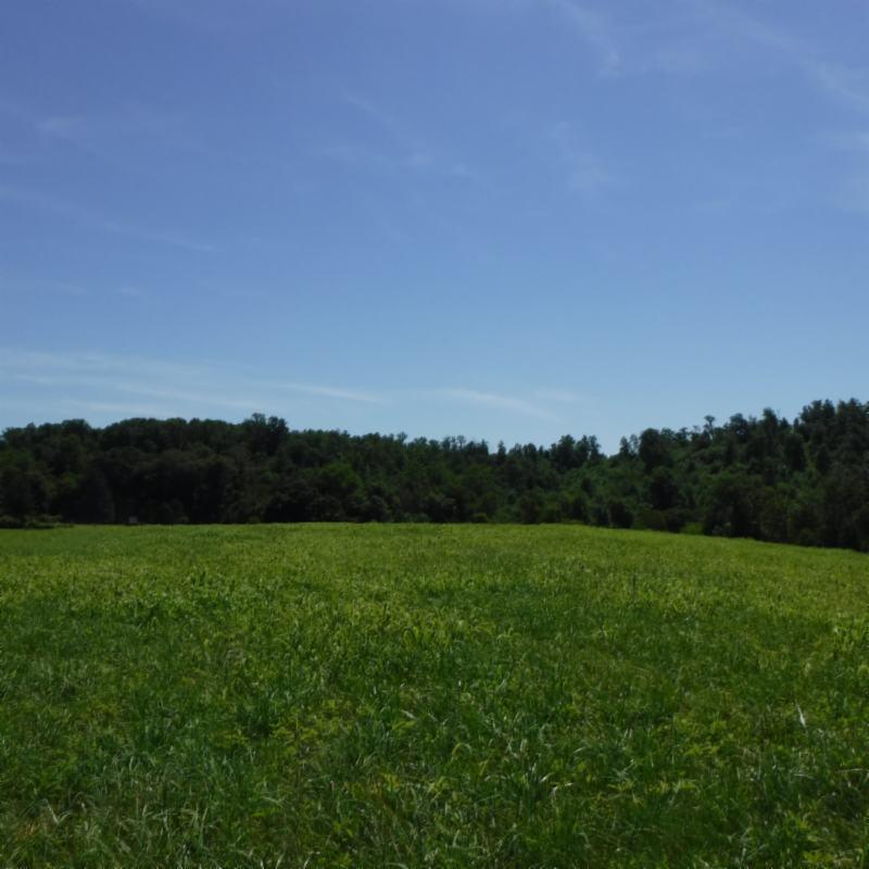 Galen Road Lafayette, TN 37083 - Photo 25 of 36 06282017 037