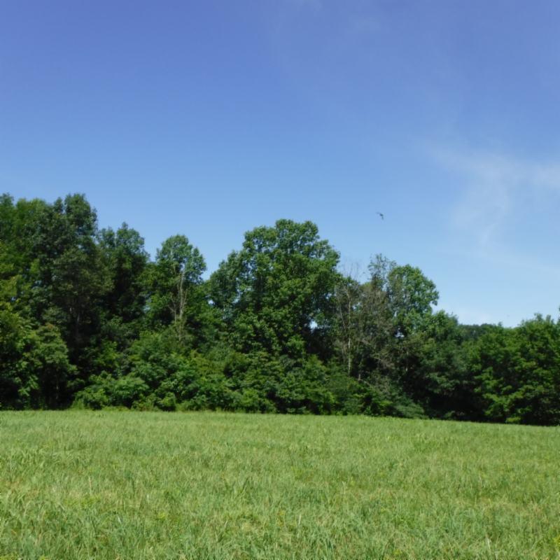Galen Road Lafayette, TN 37083 - Photo 26 of 36 06282017 038