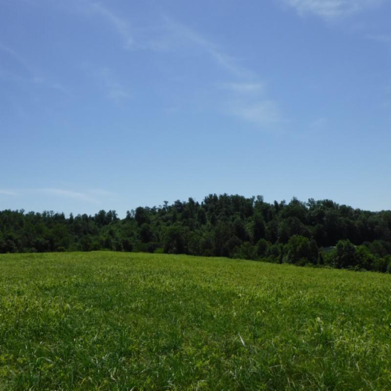Galen Road Lafayette, TN 37083 - Photo 27 of 36 06282017 039
