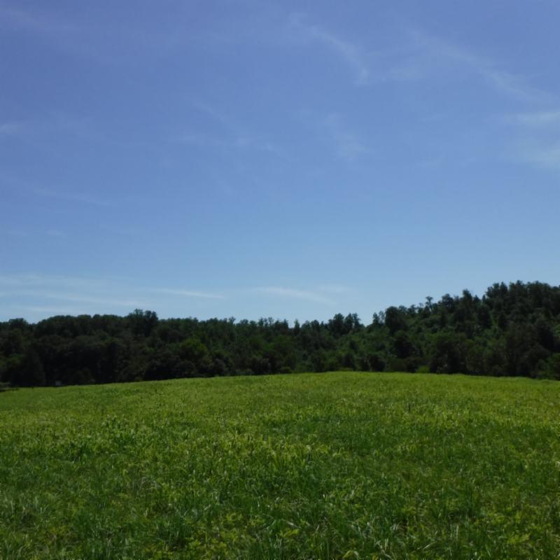 Galen Road Lafayette, TN 37083 - Photo 28 of 36 06282017 040