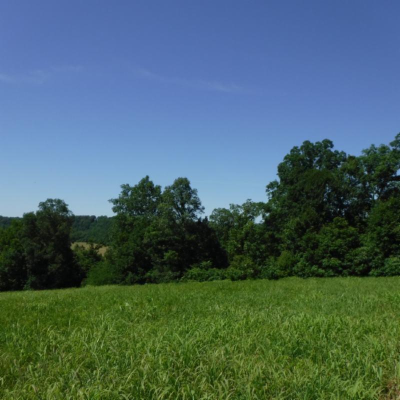Galen Road Lafayette, TN 37083 - Photo 29 of 36 06282017 042