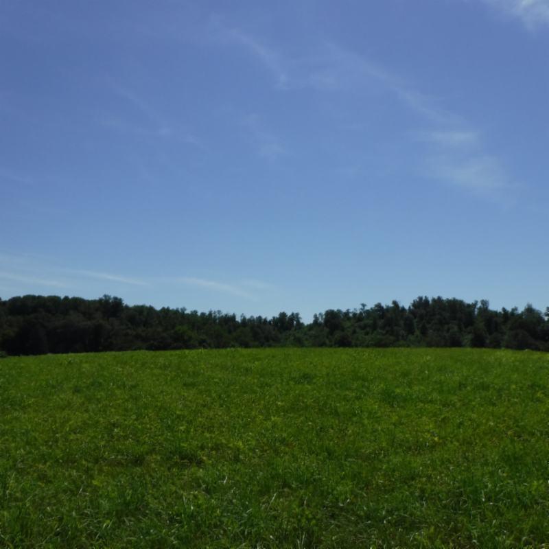 Galen Road Lafayette, TN 37083 - Photo 4 of 36 06282017 036