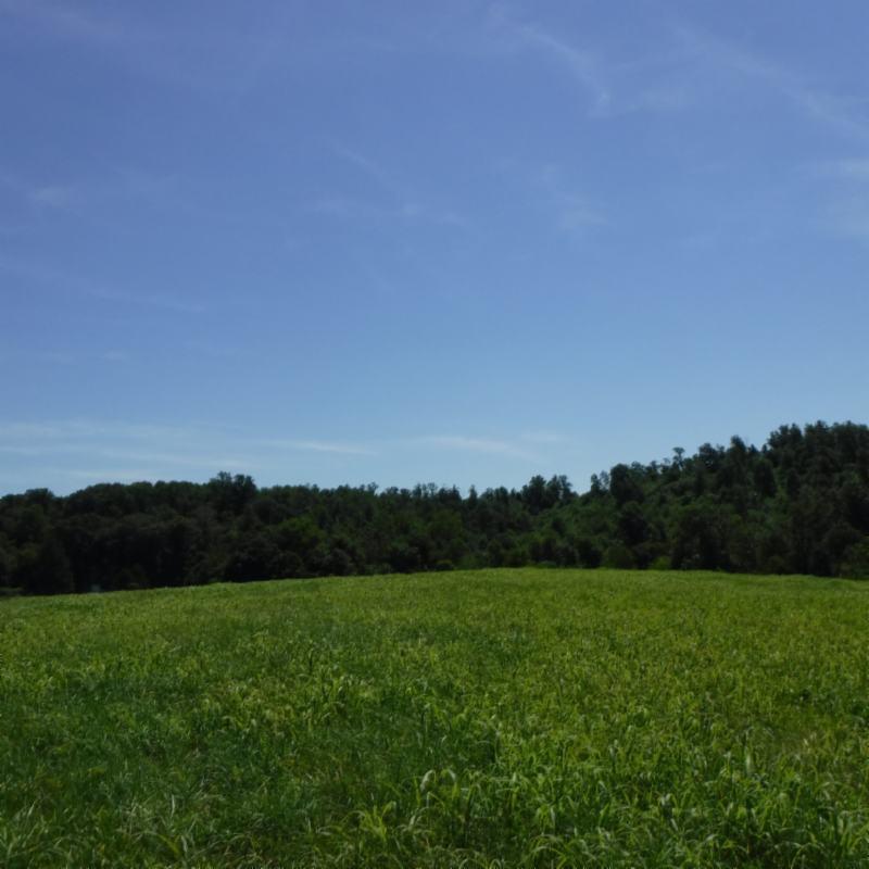 Galen Road Lafayette, TN 37083 - Photo 31 of 36 06282017 044