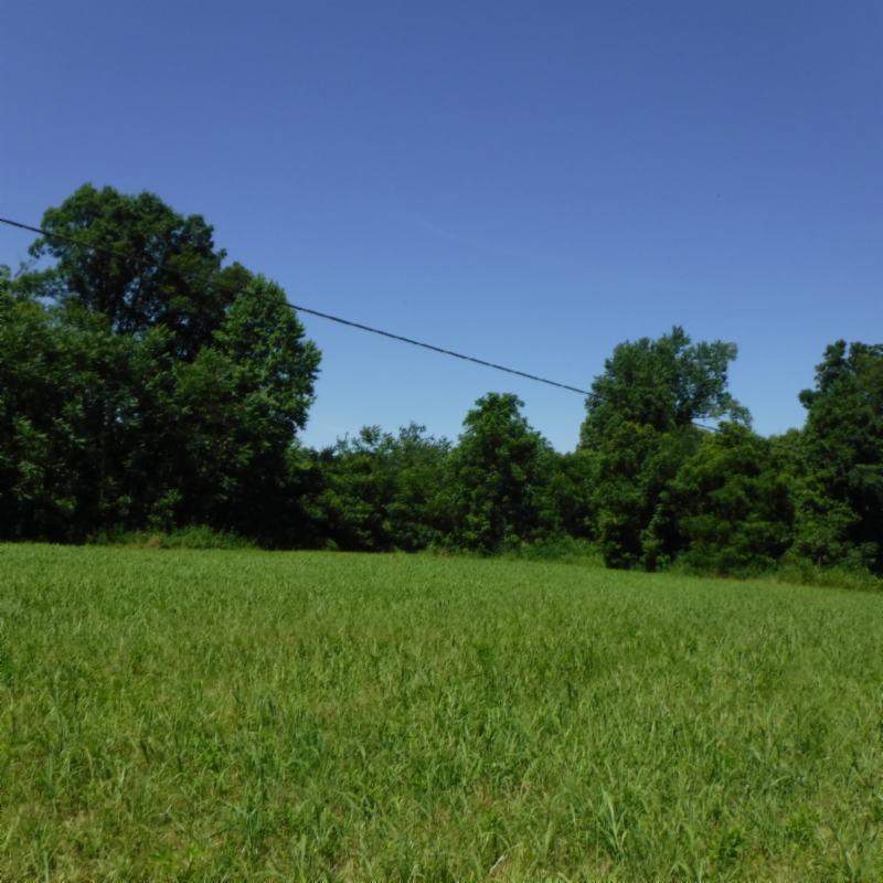 Galen Road Lafayette, TN 37083 - Photo 32 of 36 06282017 045