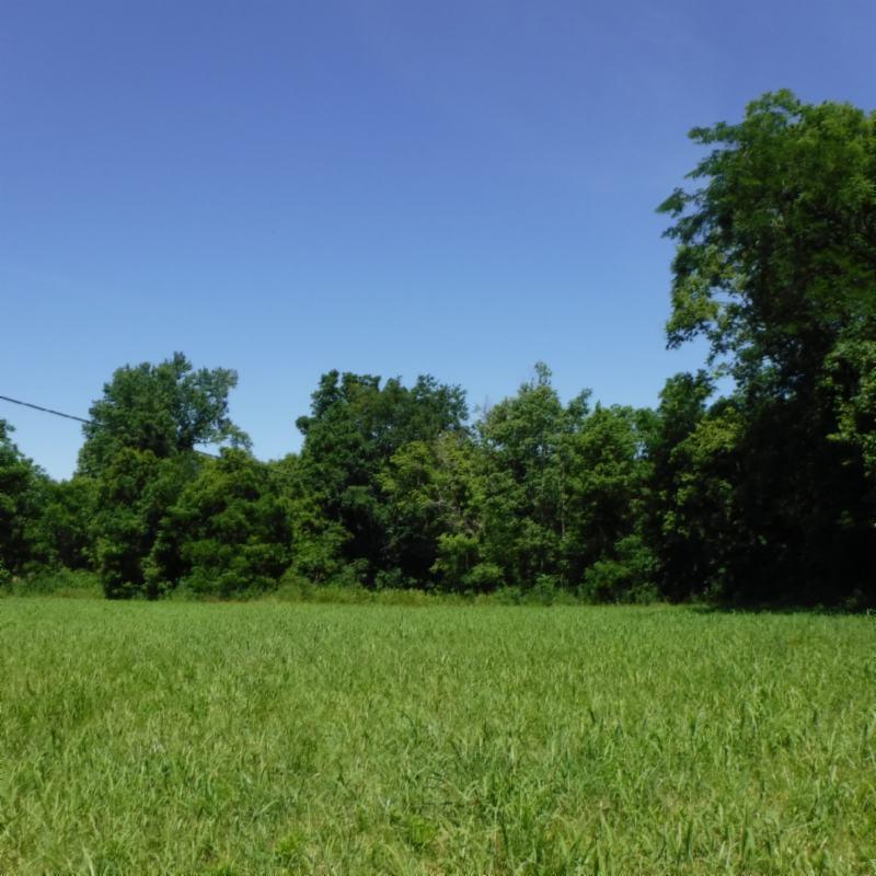 Galen Road Lafayette, TN 37083 - Photo 33 of 36 06282017 046