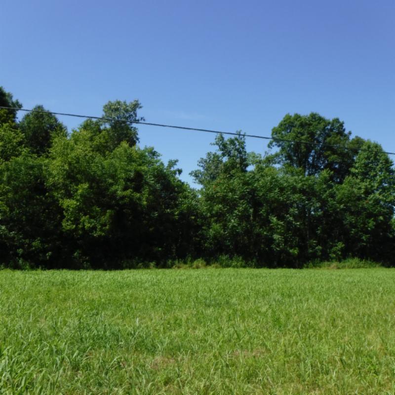 Galen Road Lafayette, TN 37083 - Photo 34 of 36 06282017 047