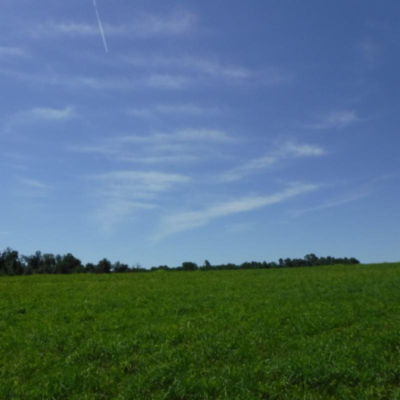 Galen Road Lafayette, TN 37083 - Photo 7 of 36 06282017 035
