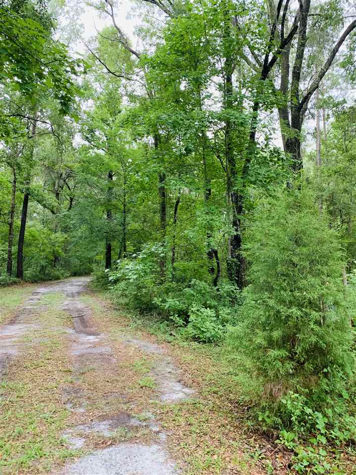 1911 Shiloh Church Road Perry, FL 32347 - Photo 2 of 35