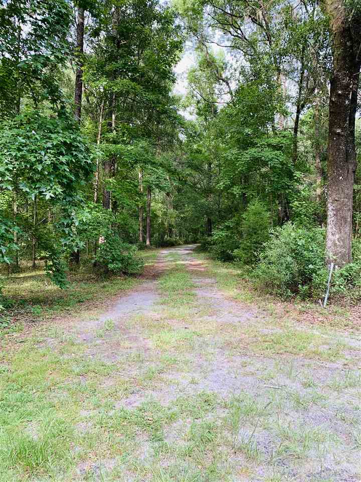 1911 Shiloh Church Road Perry, FL 32347 - Photo 34 of 35