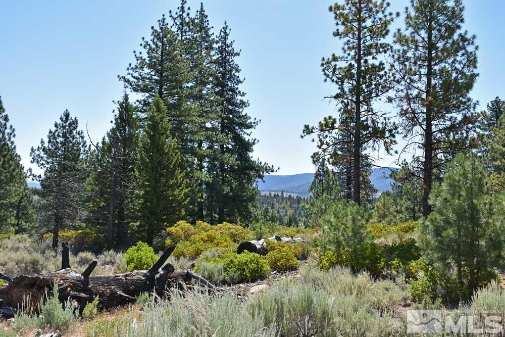 Parcel 18 Diamond Valley Road Markleeville, CA 96120 - Photo 1 of 16 Photo 1