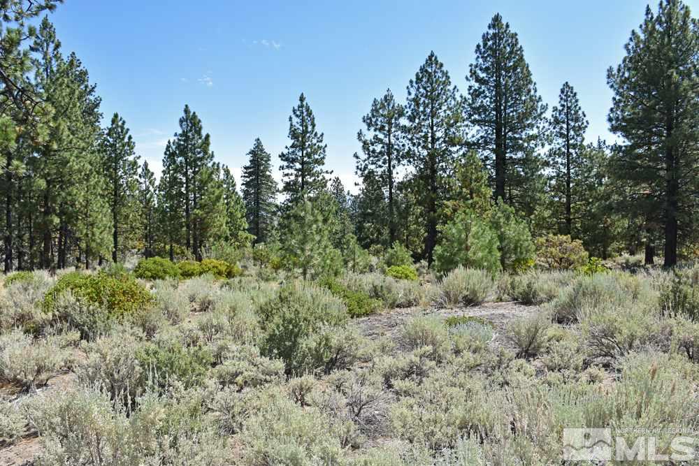 Parcel 18 Diamond Valley Road Markleeville, CA 96120 - Photo 12 of 16 Photo 12