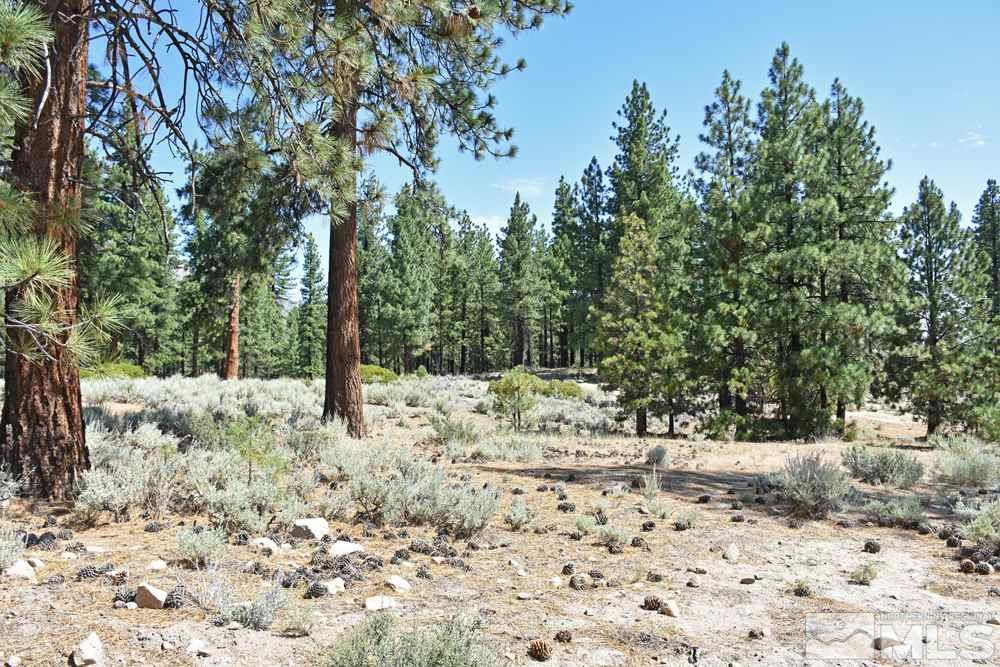 Parcel 18 Diamond Valley Road Markleeville, CA 96120 - Photo 16 of 16 Photo 16