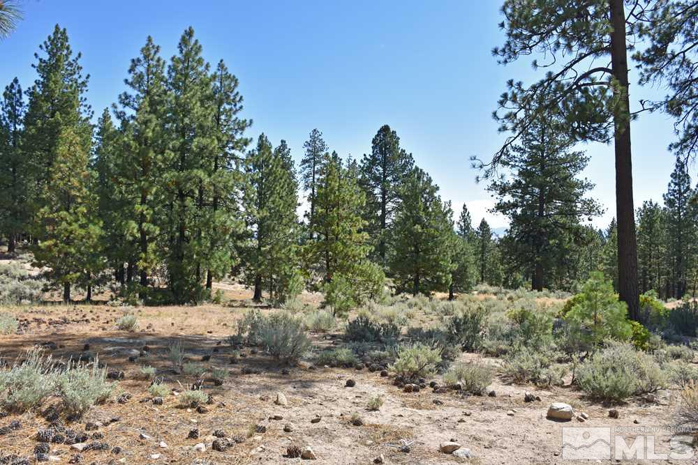 Parcel 18 Diamond Valley Road Markleeville, CA 96120 - Photo 3 of 16 Photo 3