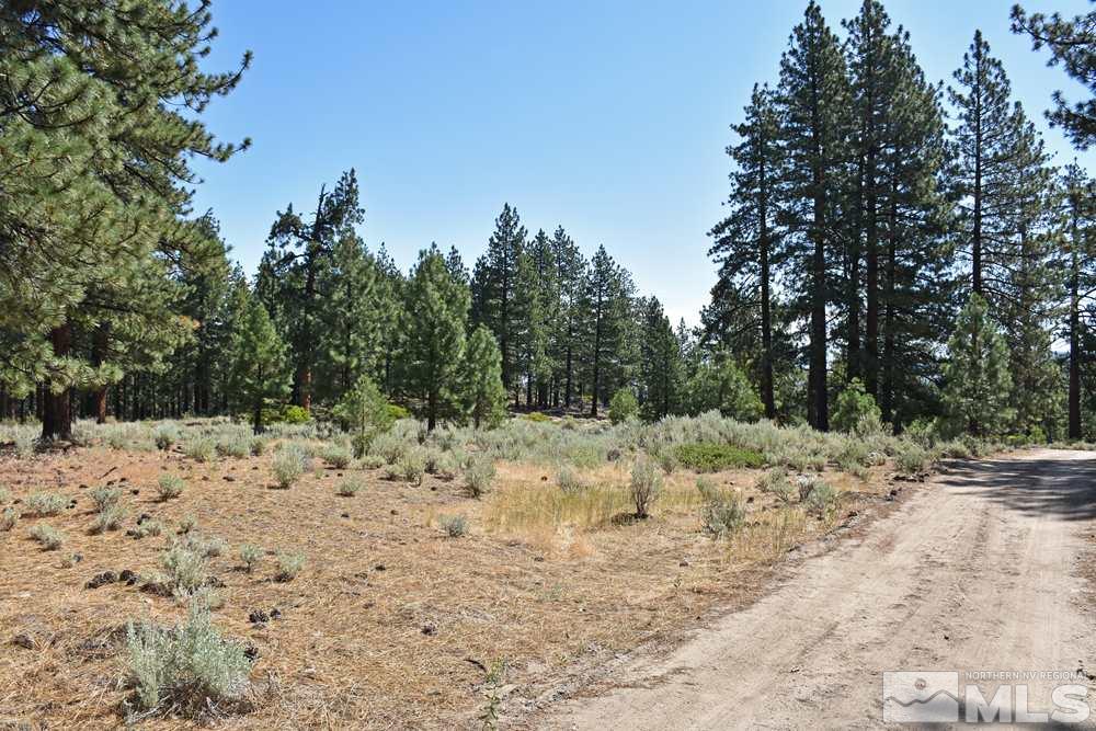 Parcel 18 Diamond Valley Road Markleeville, CA 96120 - Photo 4 of 16 Photo 4
