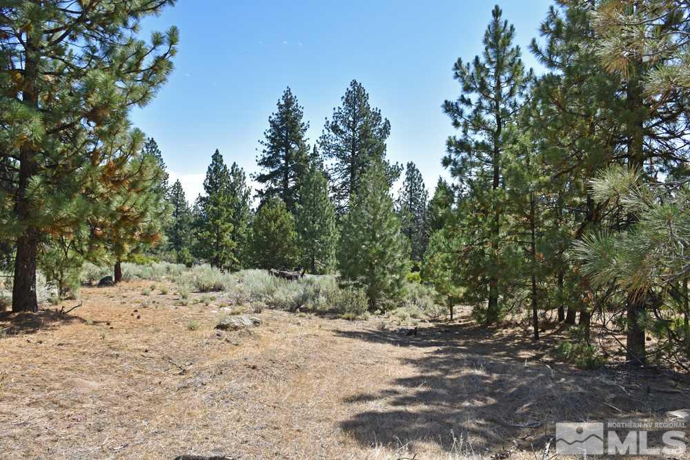 Parcel 18 Diamond Valley Road Markleeville, CA 96120 - Photo 6 of 16 Photo 6
