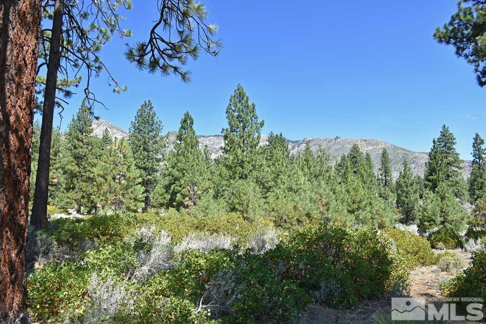 Parcel 18 Diamond Valley Road Markleeville, CA 96120 - Photo 8 of 16 Photo 8