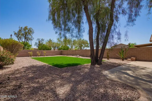 a view of a yard with palm tree