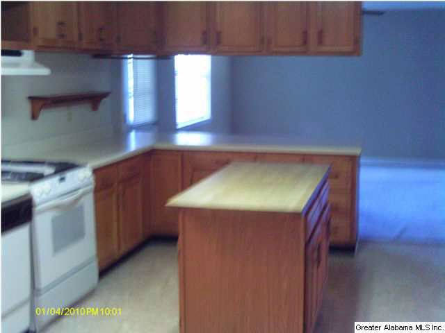 3795 Marvel Road Brierfield, AL 35035 - Photo 4 of 12