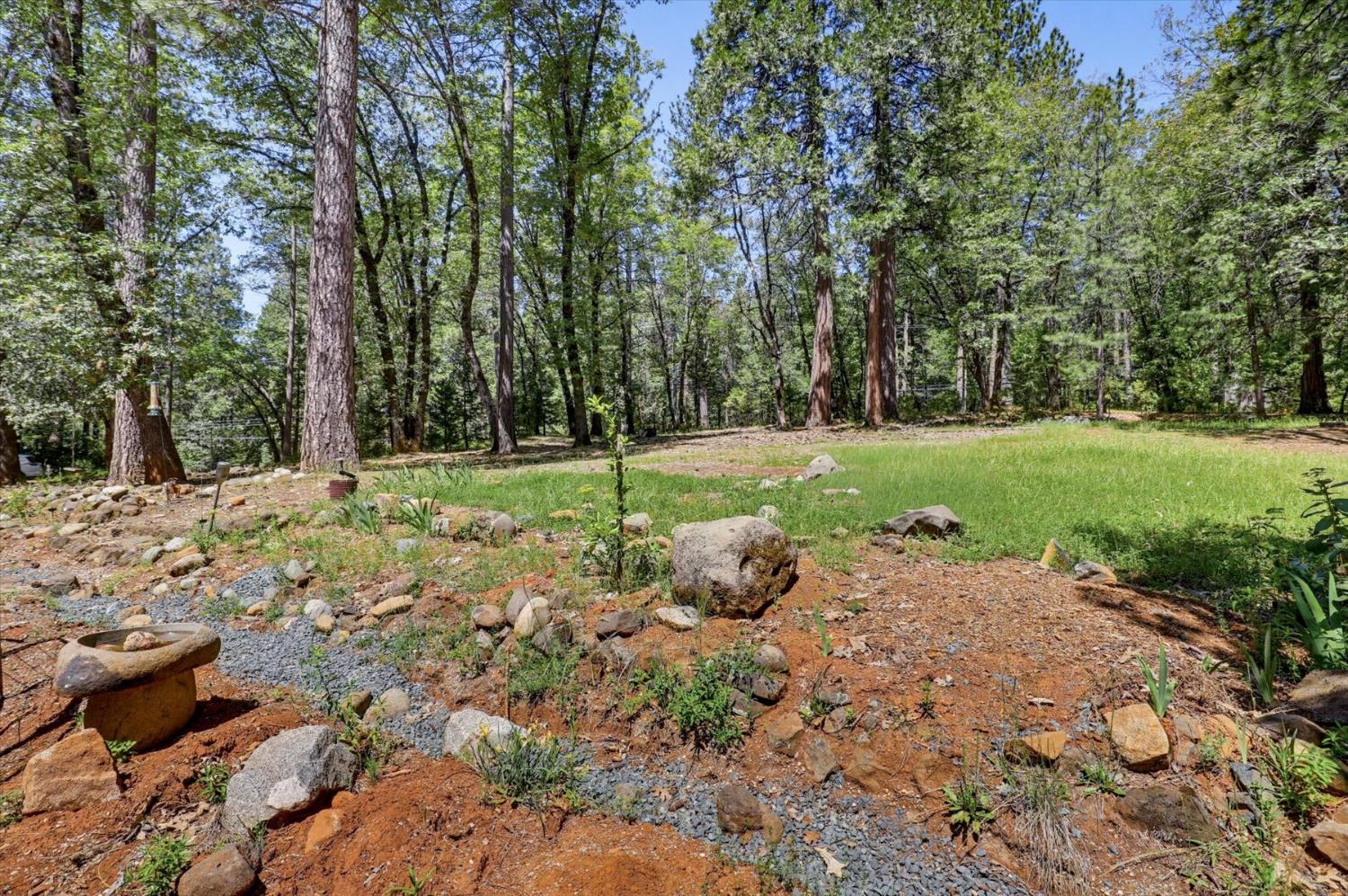 14517 North Bloomfield Road Nevada City, CA 95959 - Photo 60 of 78 a view of a backyard with large trees
