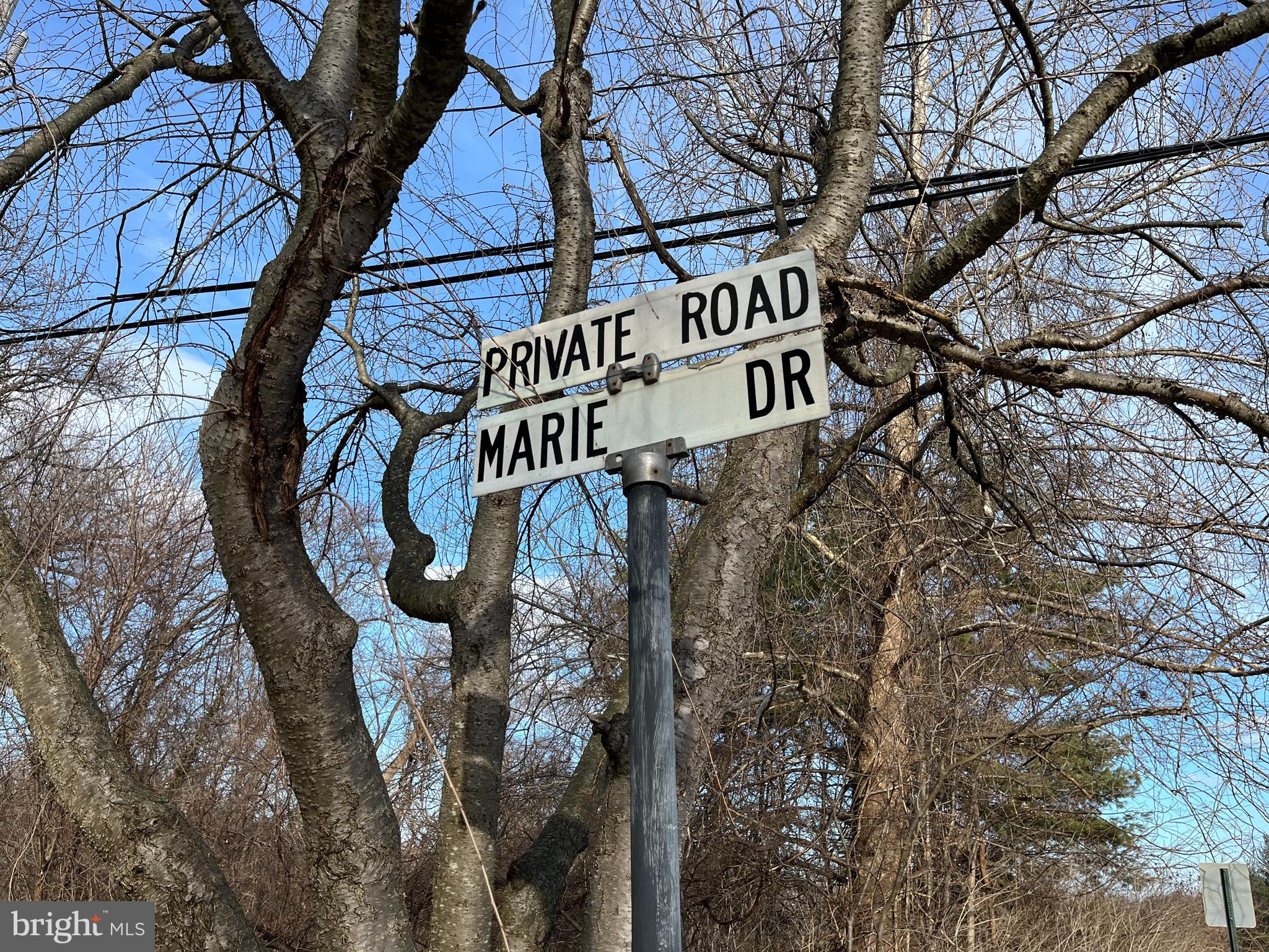 411 Marie Drive Wallingford, PA 19086 - Photo 44 of 44 Street Sign