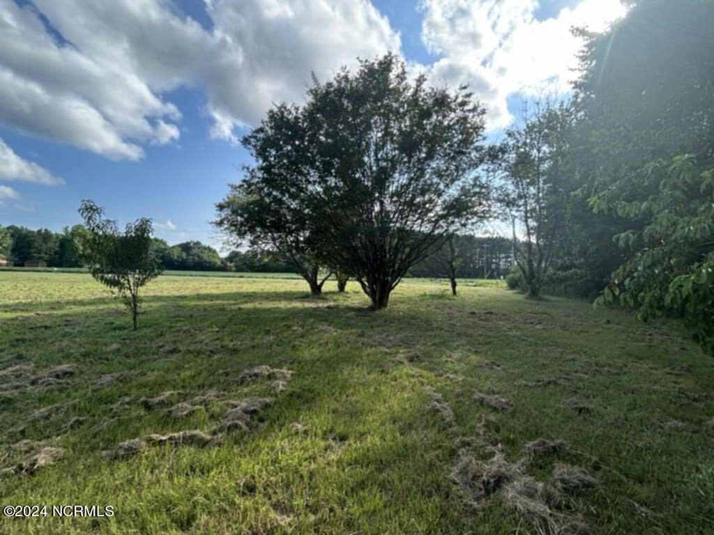 165 Clayhill Road Gates, NC 27937 - Photo 36 of 36 Yard