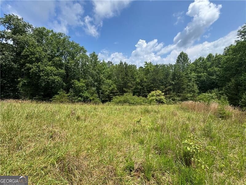 0 Ben Higgins Road Dahlonega, GA 30533 - Photo 2 of 21