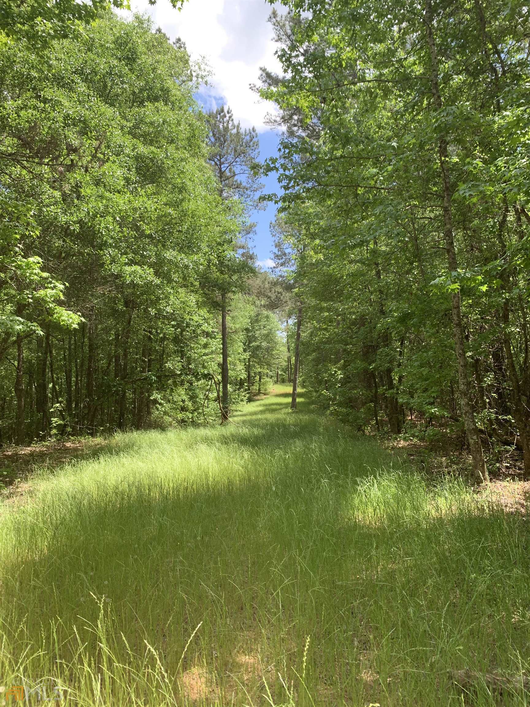 0 Blackthorn Road Colbert, GA 30628 - Photo 1 of 1 a view of a yard with large trees
