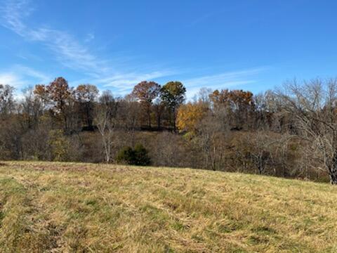 22007 Upper Lick Road, Unit 5 Carlisle, KY 40311 - Photo 1 of 7 01