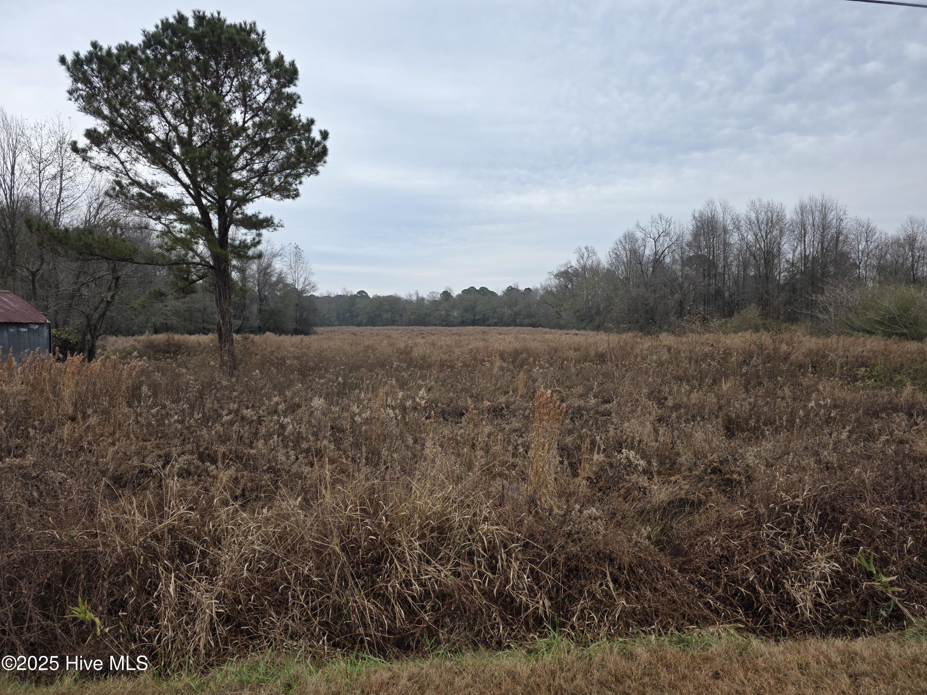 557 Church Road Pink Hill, NC 28572 - Photo 7 of 9 3468