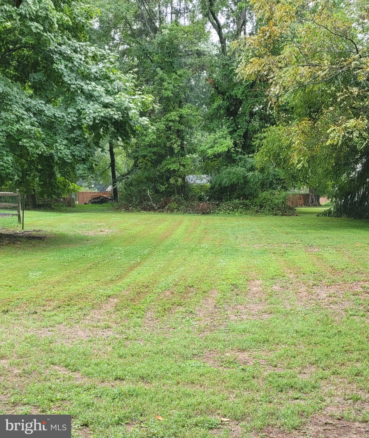 great rear yard