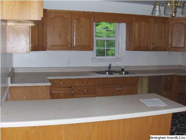 2098 Warrior Jasper Road Warrior, AL 35180 - Photo 4 of 14