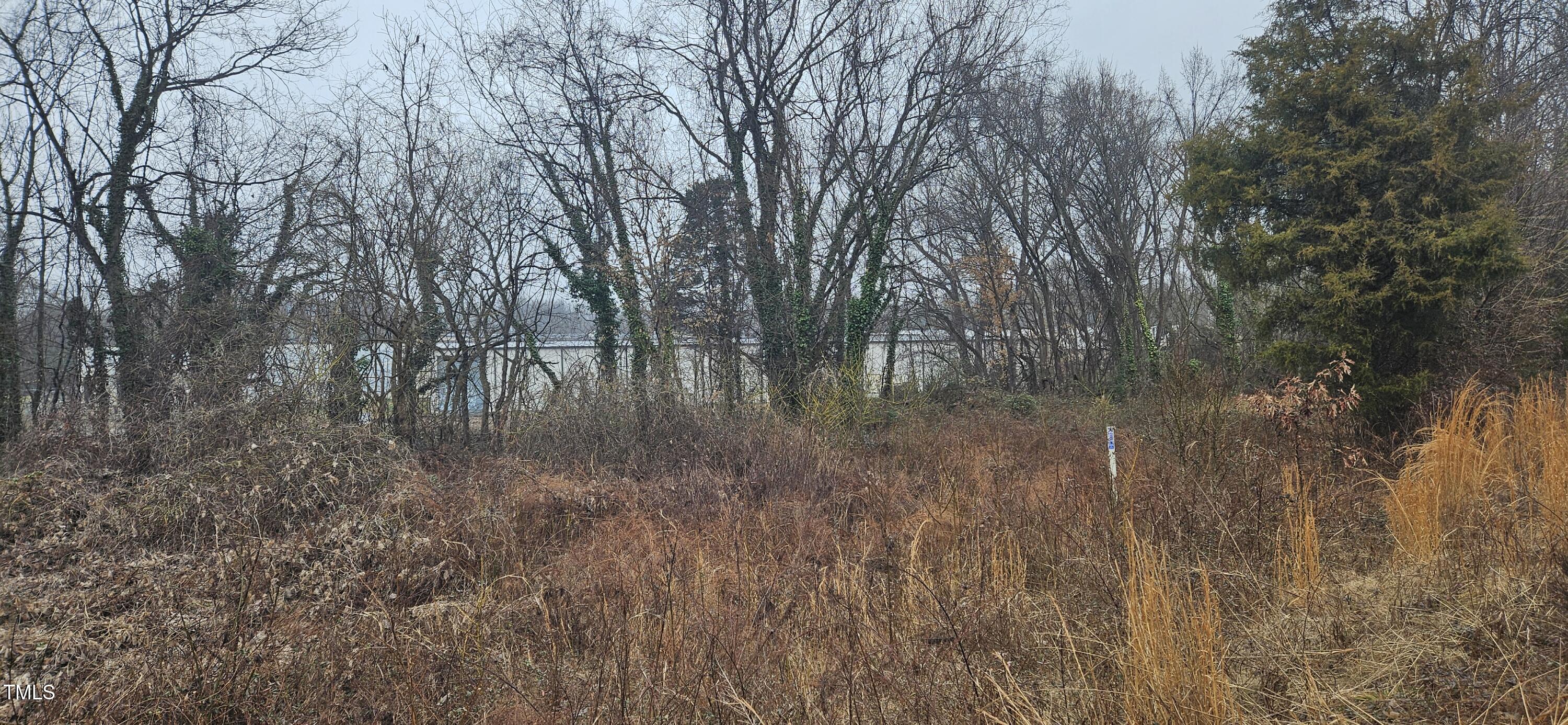 a view of a yard with large tree