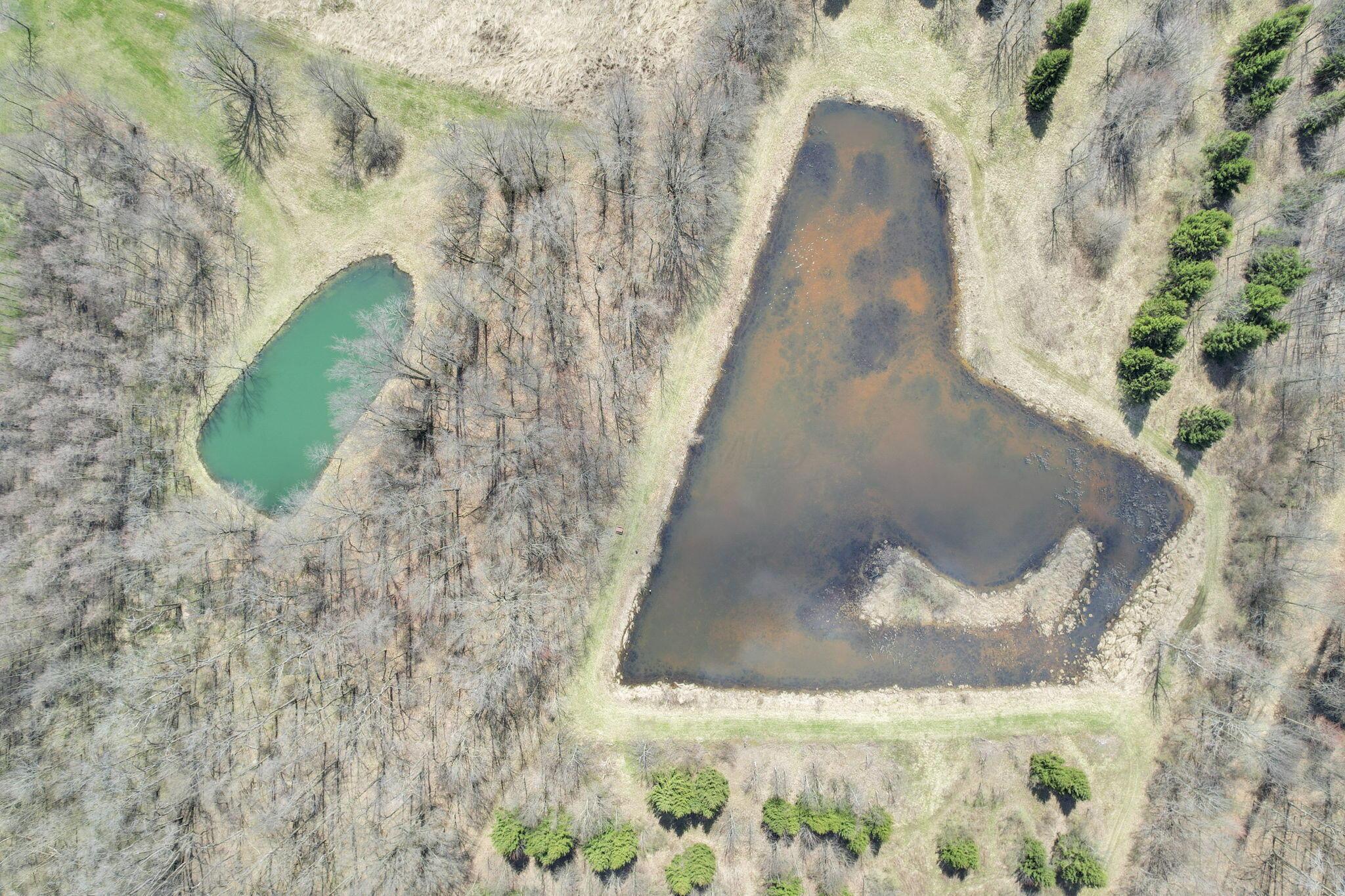 1133 Shearer Road Galion, OH 44833 - Photo 67 of 88 21