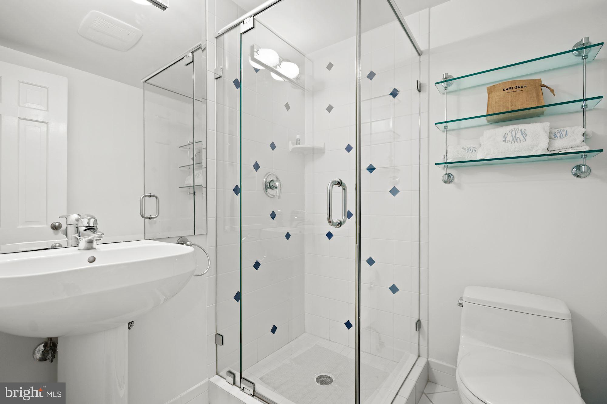 4720 Sedgwick Street Northwest Washington, DC 20016 - Photo 20 of 24 Lower Level - Full Bath