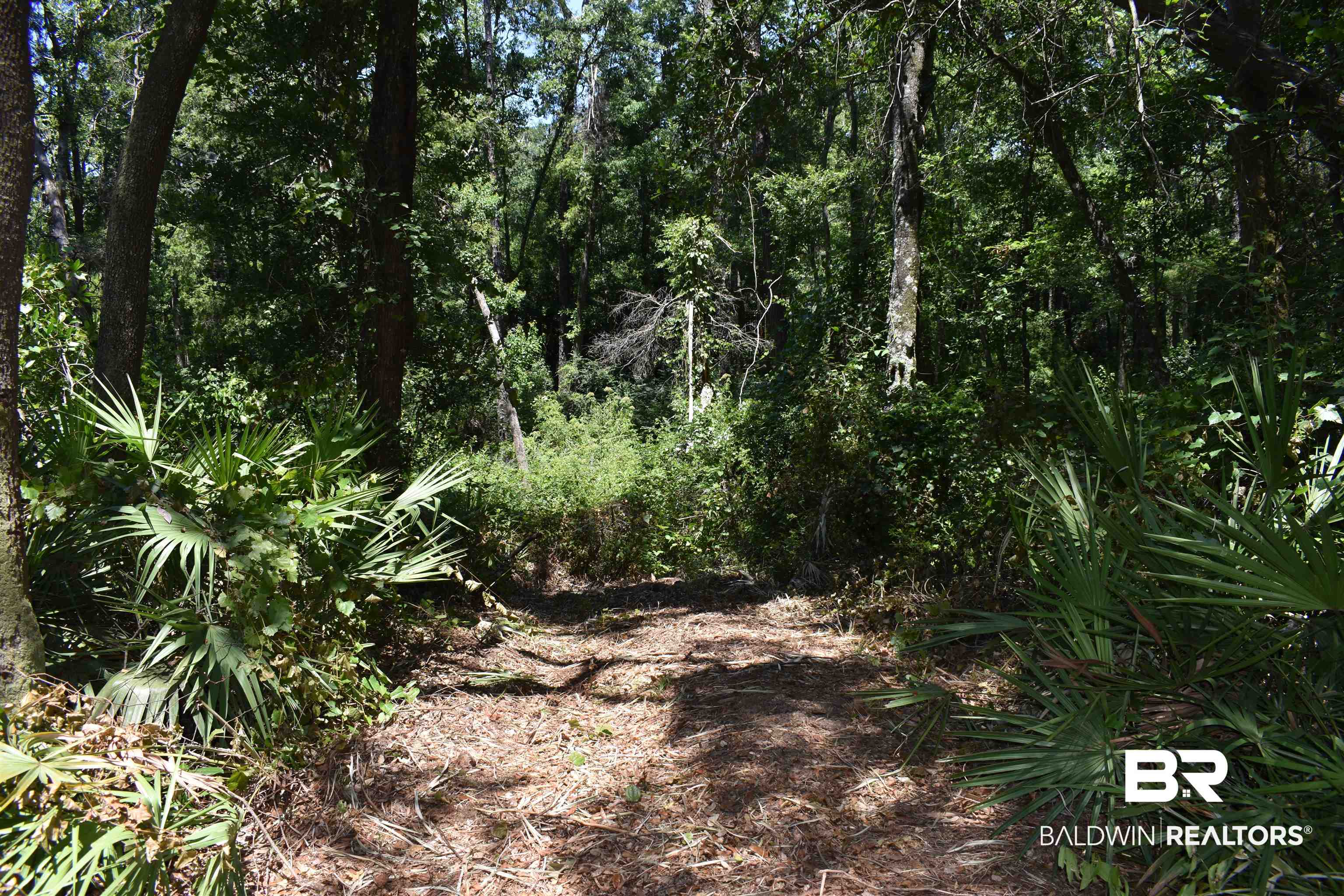 17655 River Road Summerdale, AL 36580 - Photo 9 of 17