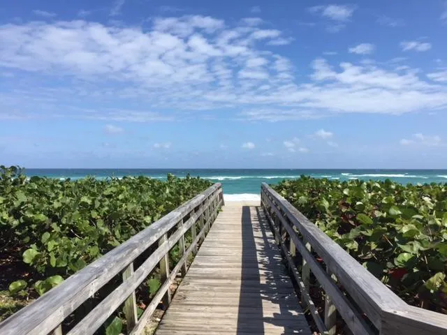 a view of a bunch of plants and wooden fence