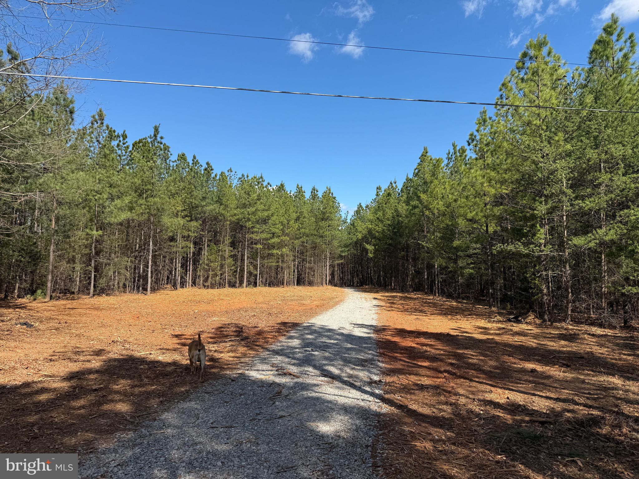 Lot A Mountain Cut Road Appomattox, VA 24522 - Photo 1 of 18