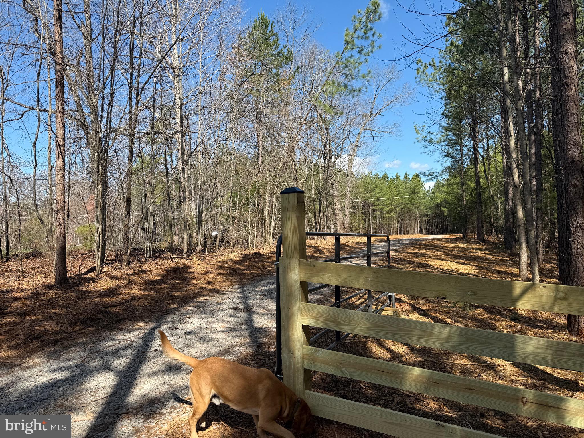 Lot A Mountain Cut Road Appomattox, VA 24522 - Photo 12 of 18