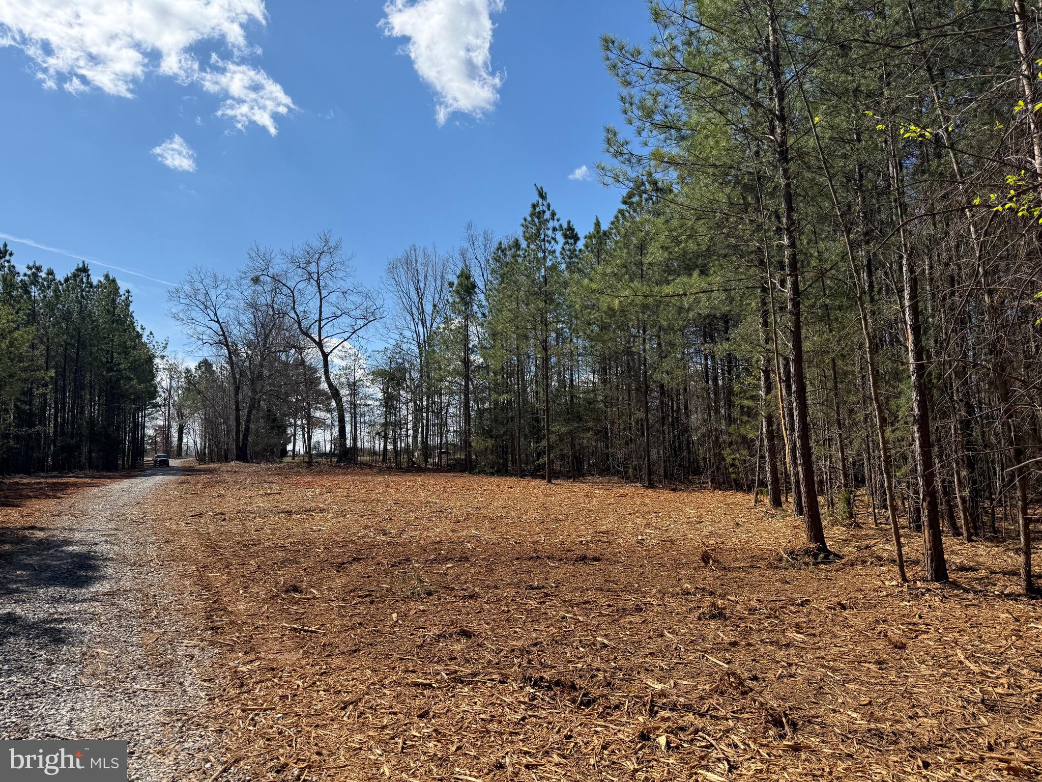 Lot A Mountain Cut Road Appomattox, VA 24522 - Photo 16 of 18