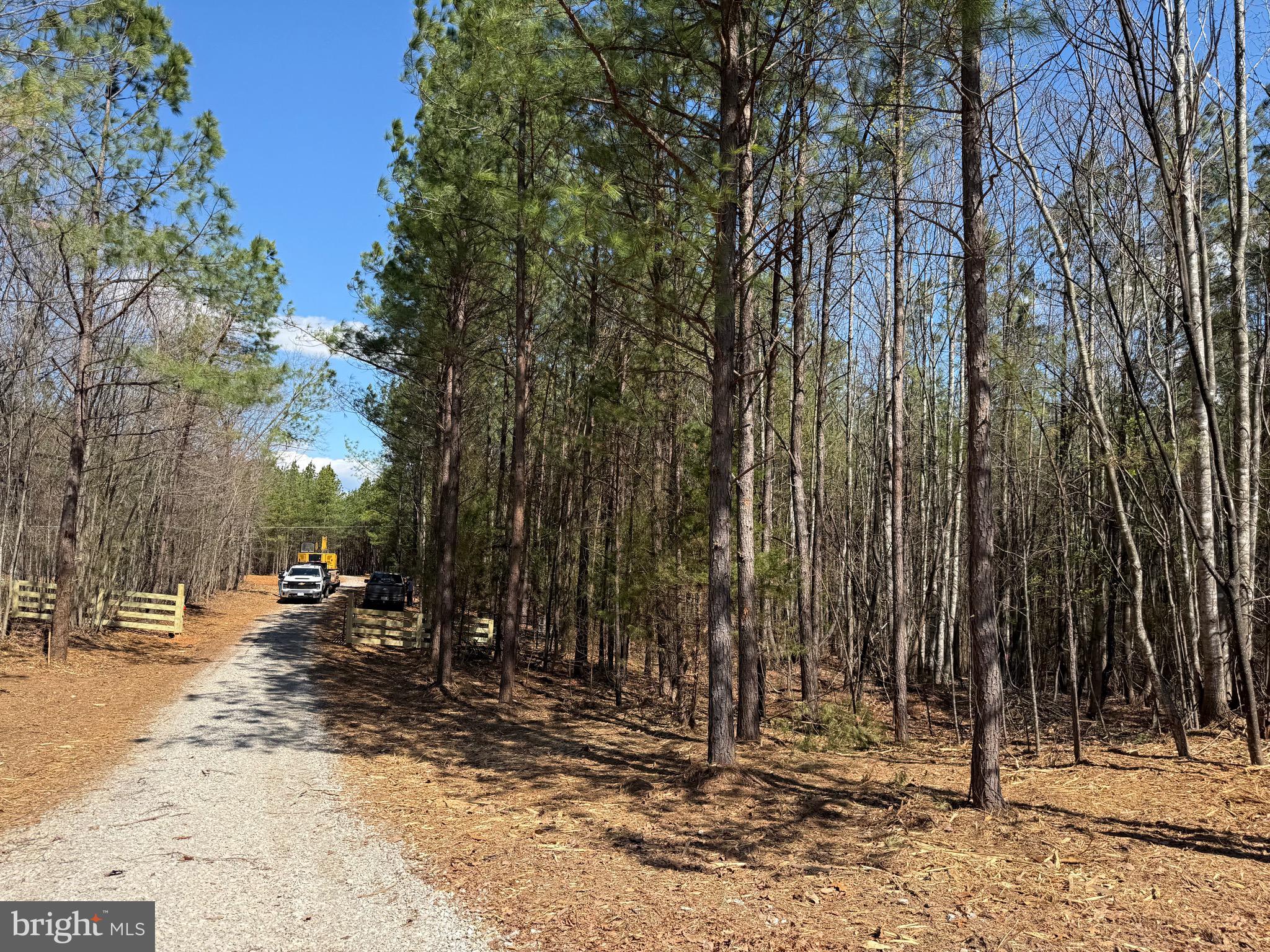 Lot A Mountain Cut Road Appomattox, VA 24522 - Photo 3 of 18