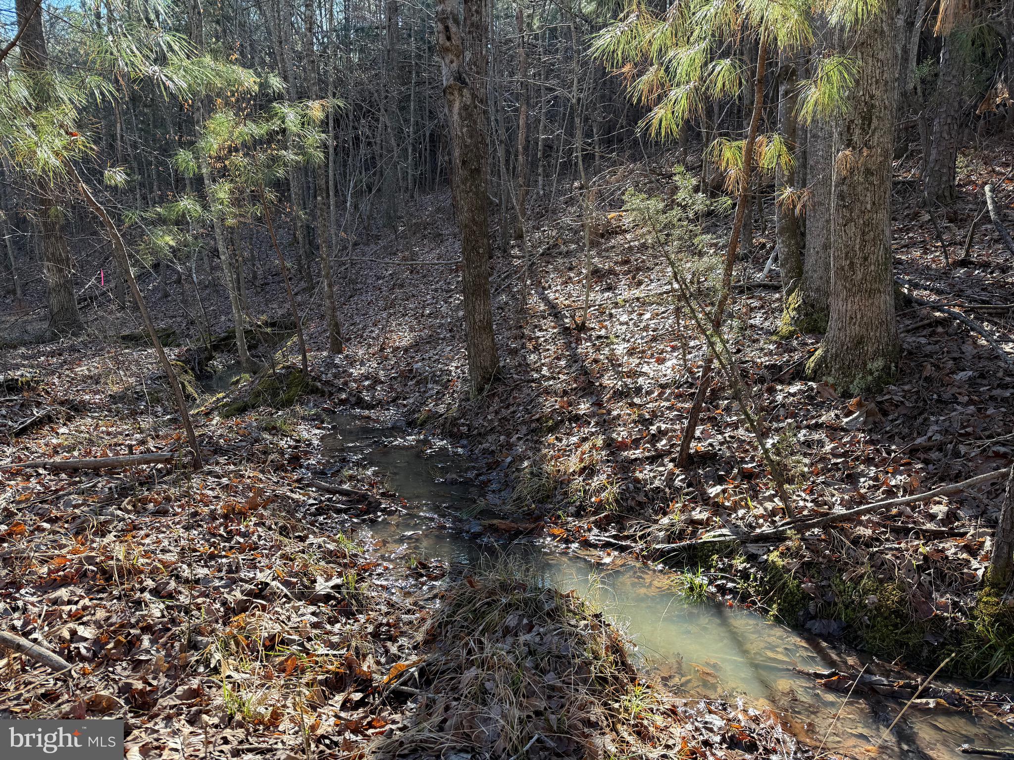 Lot A Mountain Cut Road Appomattox, VA 24522 - Photo 4 of 18