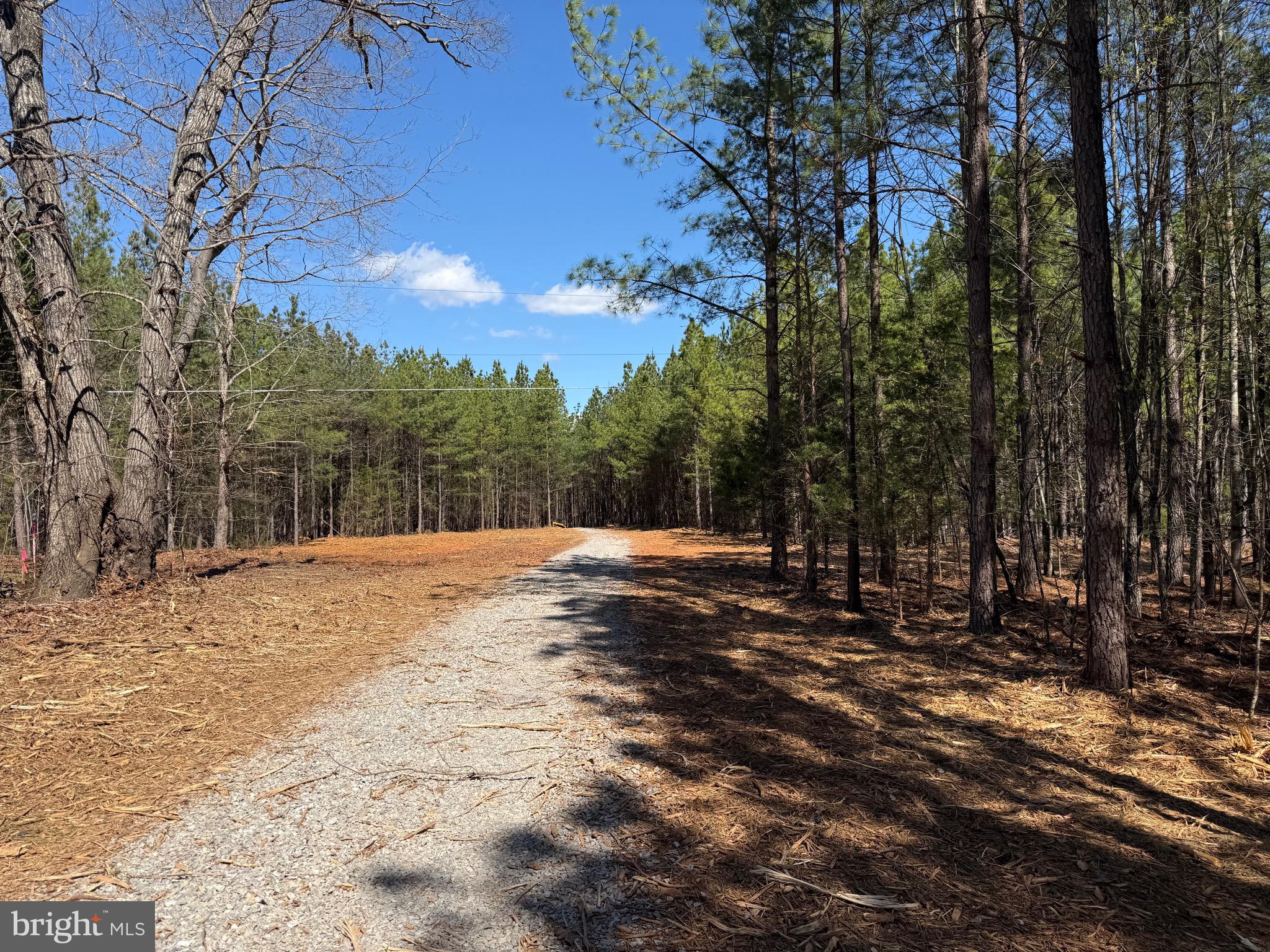 Lot A Mountain Cut Road Appomattox, VA 24522 - Photo 7 of 18