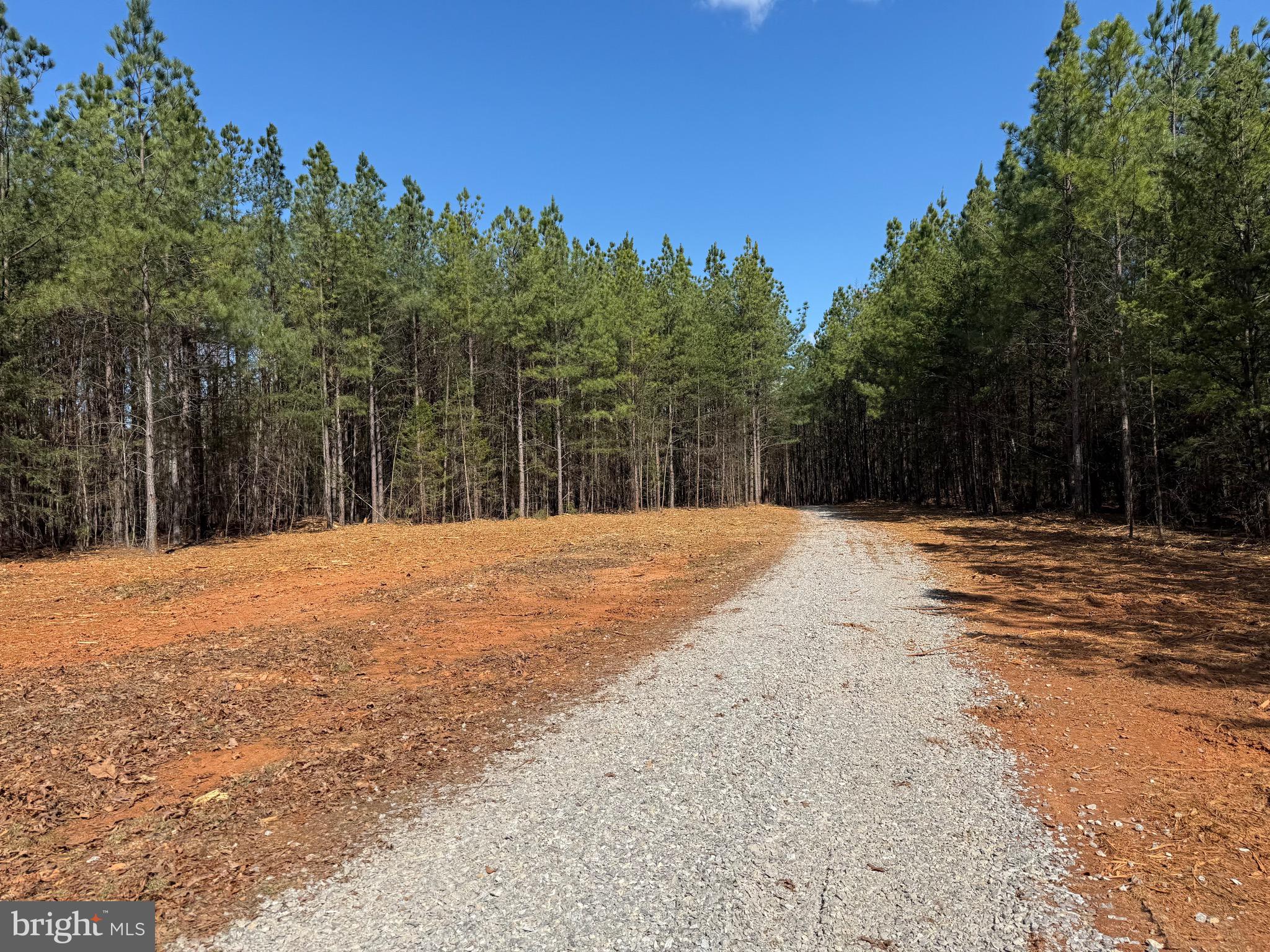 Lot A Mountain Cut Road Appomattox, VA 24522 - Photo 9 of 18