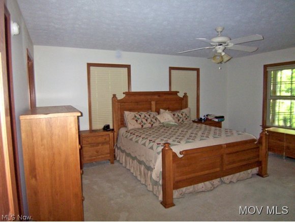 319 Richards Road Waverly, WV 26184 - Photo 9 of 21 1st floor Owners suite